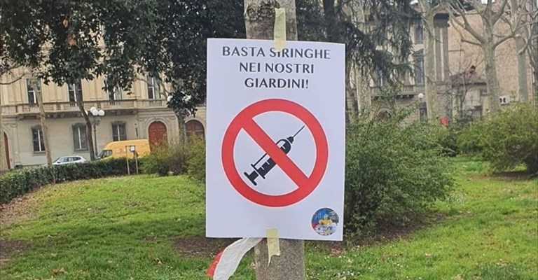 Una siringa fra le aiuole dei giardini di Piazza d'Azeglio