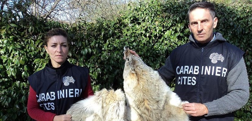 carabinieri forestali