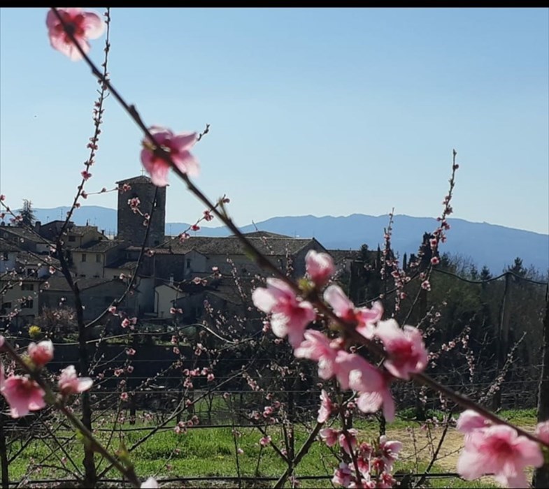 Qui Sant'Agata. Una immagine simbolo