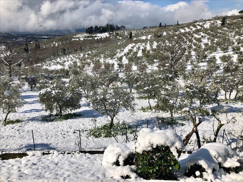 Neve a Paterno (Pelago)