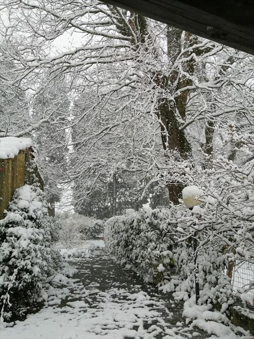 Neve a Santa Brigida (Pontassieve)