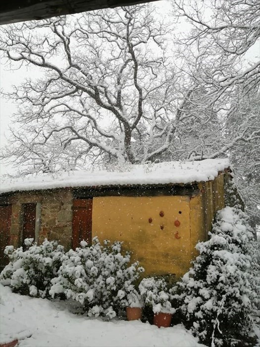 Neve a Santa Brigida (Pontassieve)
