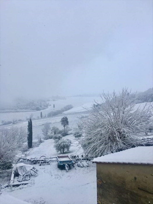 Neve a Nipozzano (Pelago)