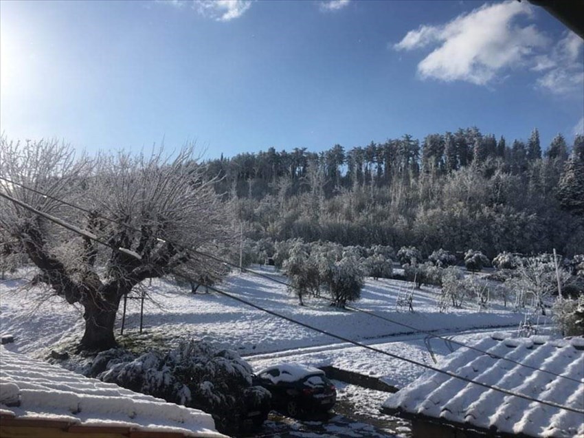 Neve a Nipozzano (Pelago)