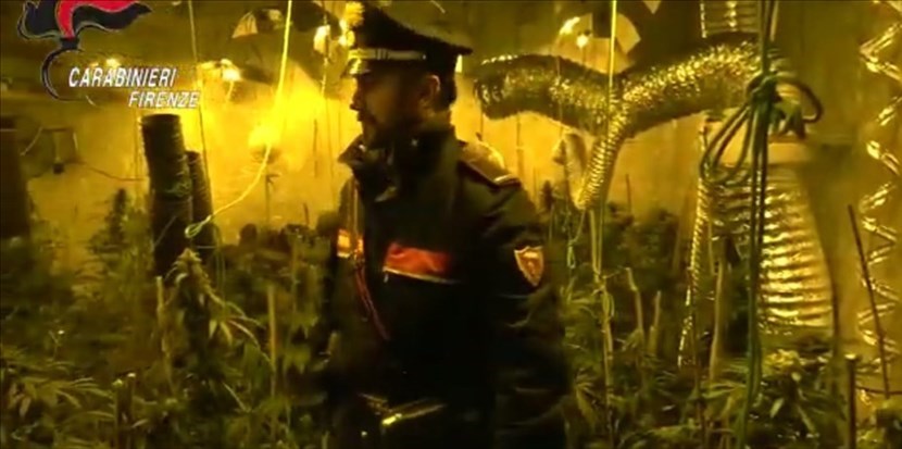 Frammento del video dell'operazione della Compagnia di Pontassieve dentro una filiera produttiva di marijuana locale