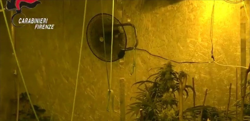 Foto dell'operazione Carabinieri di Pontassieve per filiera produttiva di Marijuana