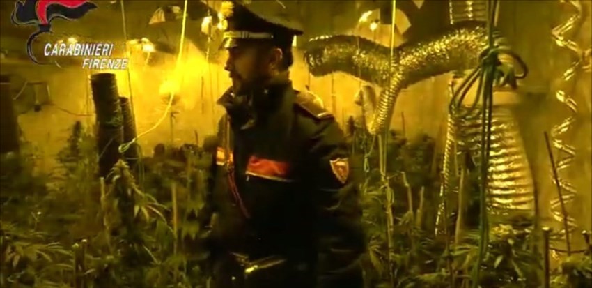 Foto dell'operazione Carabinieri di Pontassieve per filiera produttiva di Marijuana