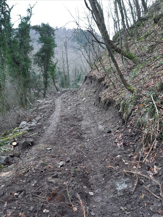 Strada abusiva a Rincine (Londa)