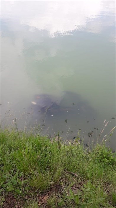 Il motorino sotto l'acqua