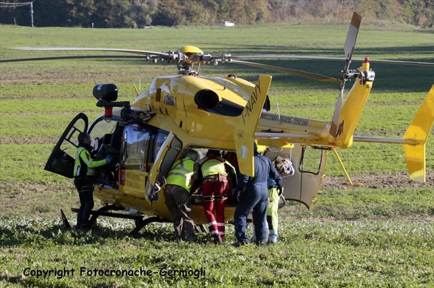 Pegaso. Foto di repertorio