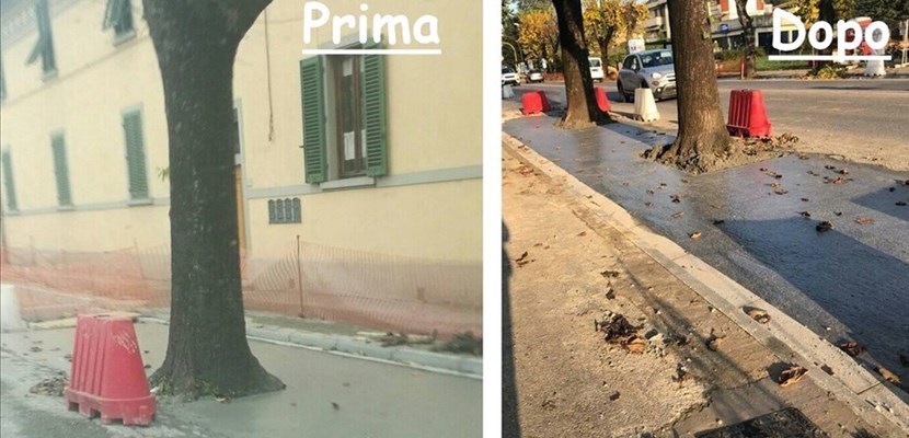 Gli alberi del viale. Prima 'incementati' poi liberati