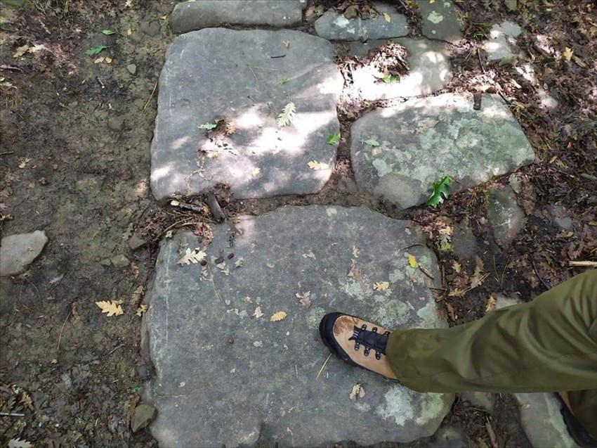 Antica Via da Raggioli a Vallombrosa: sui passi dell'Ecomuseo della Montagna Fiorentina