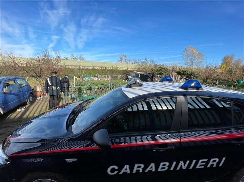 Carabinieri