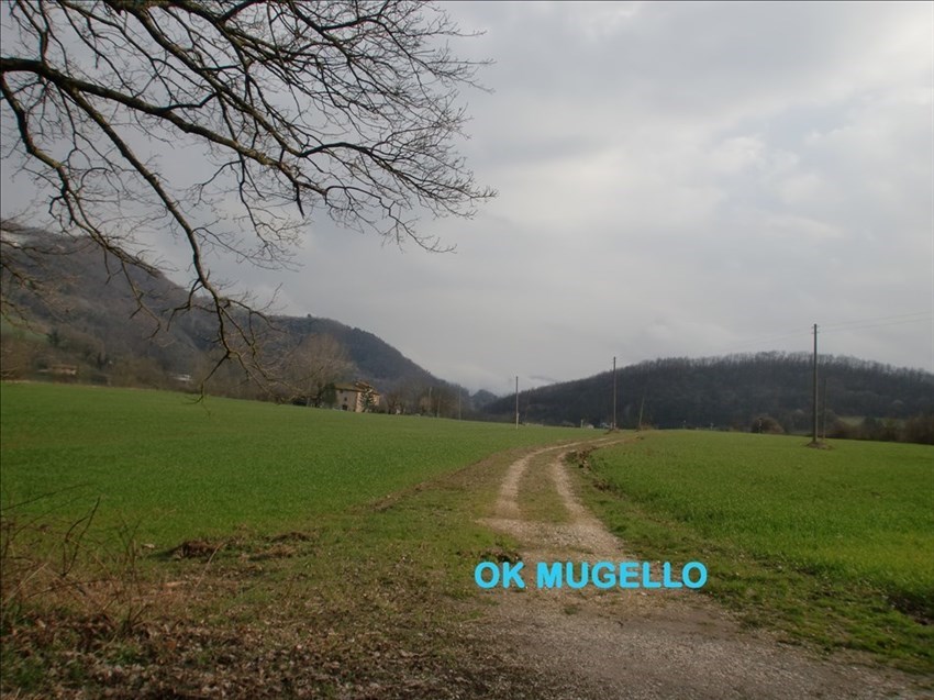 I luoghi di alcuni delitti