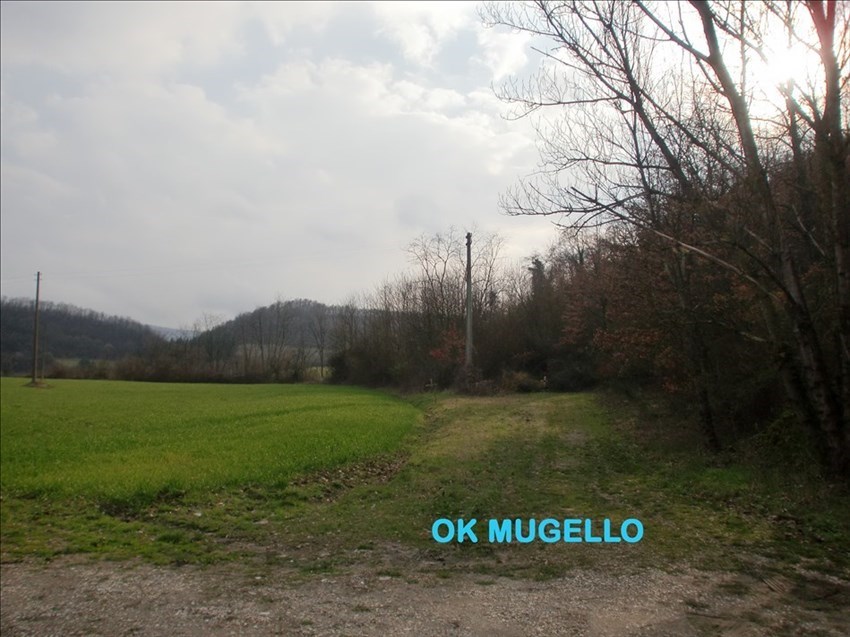 I luoghi di alcuni delitti