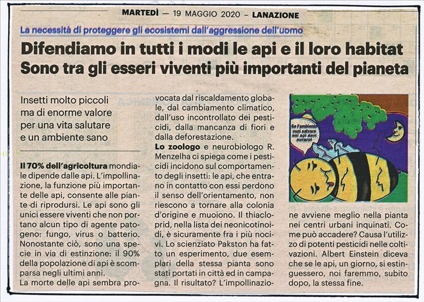 Un articolo su la Nazione sulle api e sul miele. Leggendolo la figura di don Giotto Ulivi si innalza ancora.