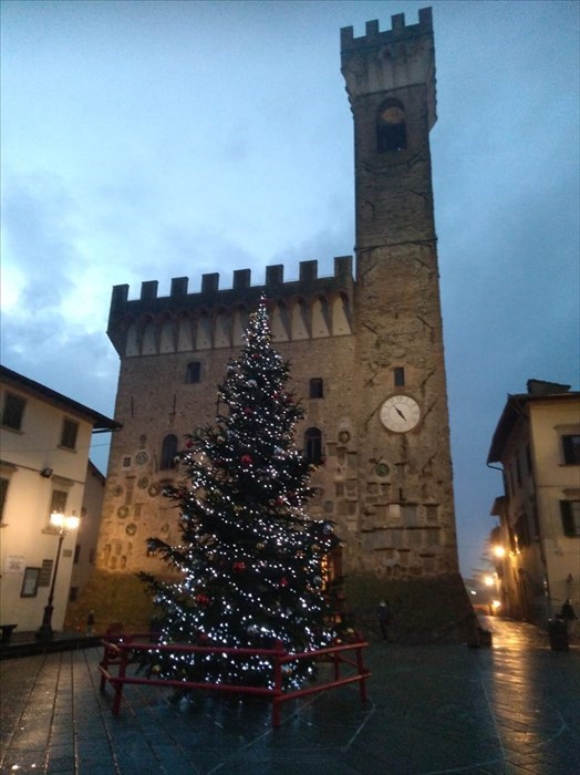 L'albero in Piazza dei Vicari