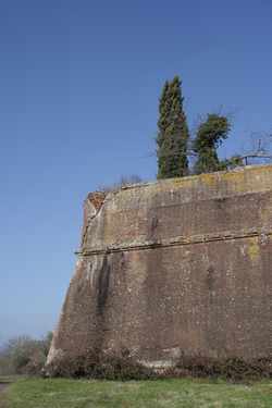 Dieci domande a... il sindaco di San Piero a Sieve