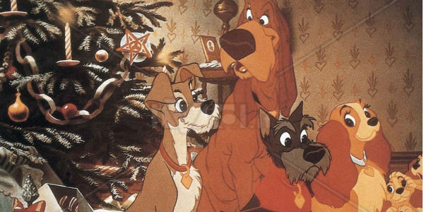 Un cucciolo a Natale? Il consiglio di un'esperta...