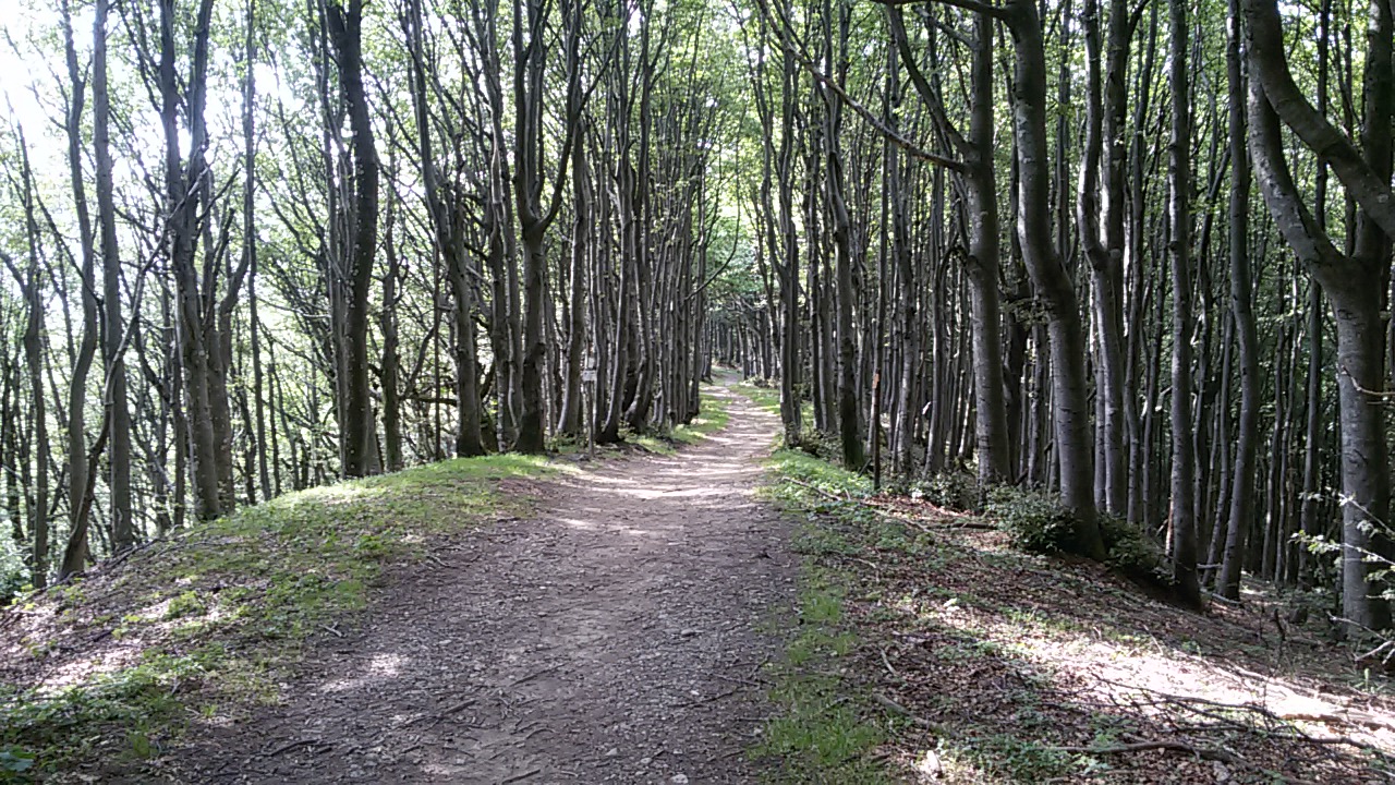 3° tappa. Campigna-Chiusi della Verna