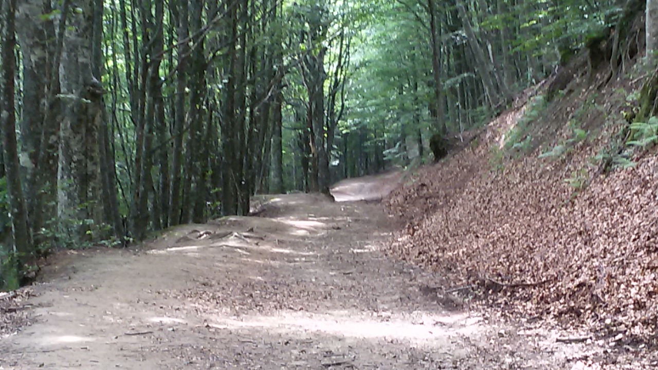 3° tappa. Campigna-Chiusi della Verna