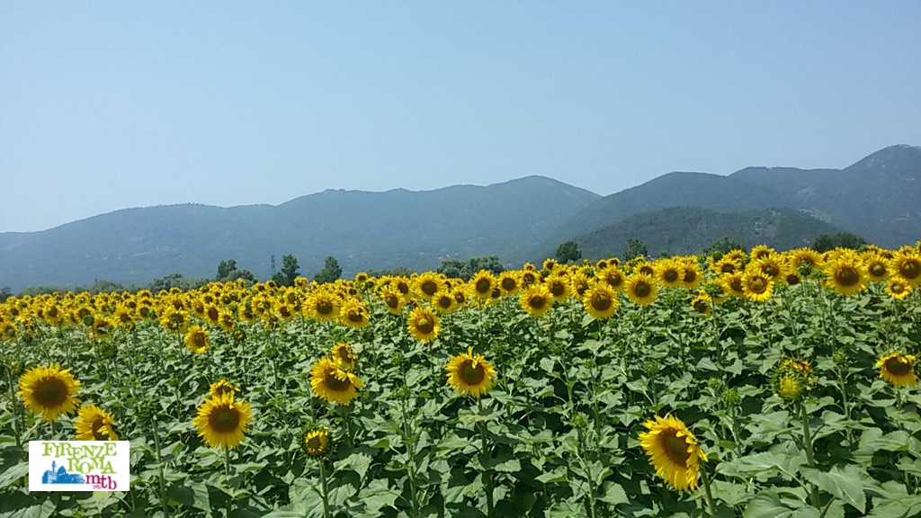 Firenze - Roma in Mountain Bike. l'8° e 9° tappa
