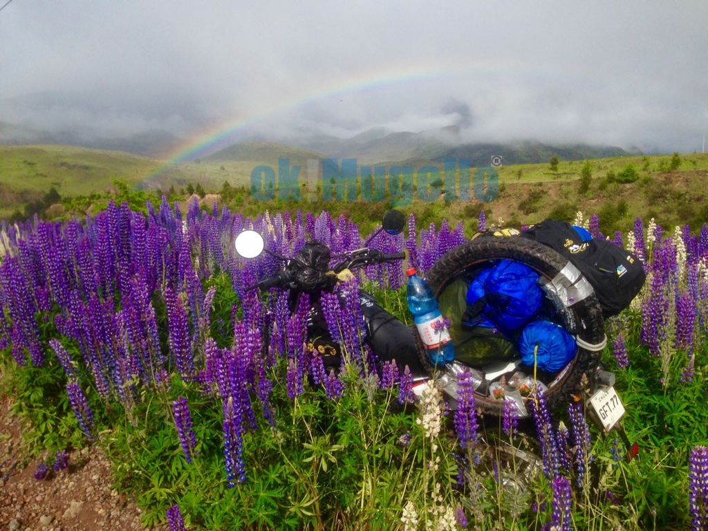 Nel profondo sud cileno tra pioggia, freddo e ghiaccio. In moto fino alla fine del mondo