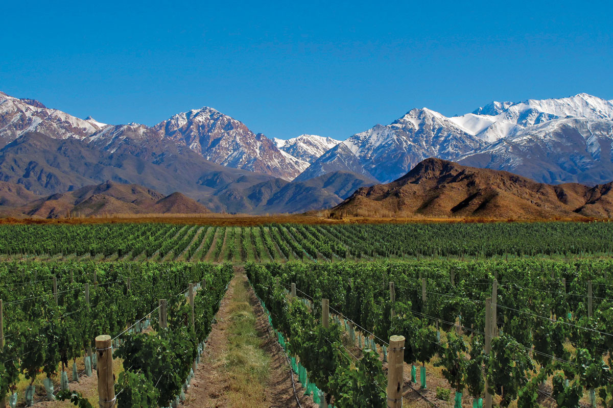 Finalmente Mendoza "Città del vino". In moto fino alla fine del mondo