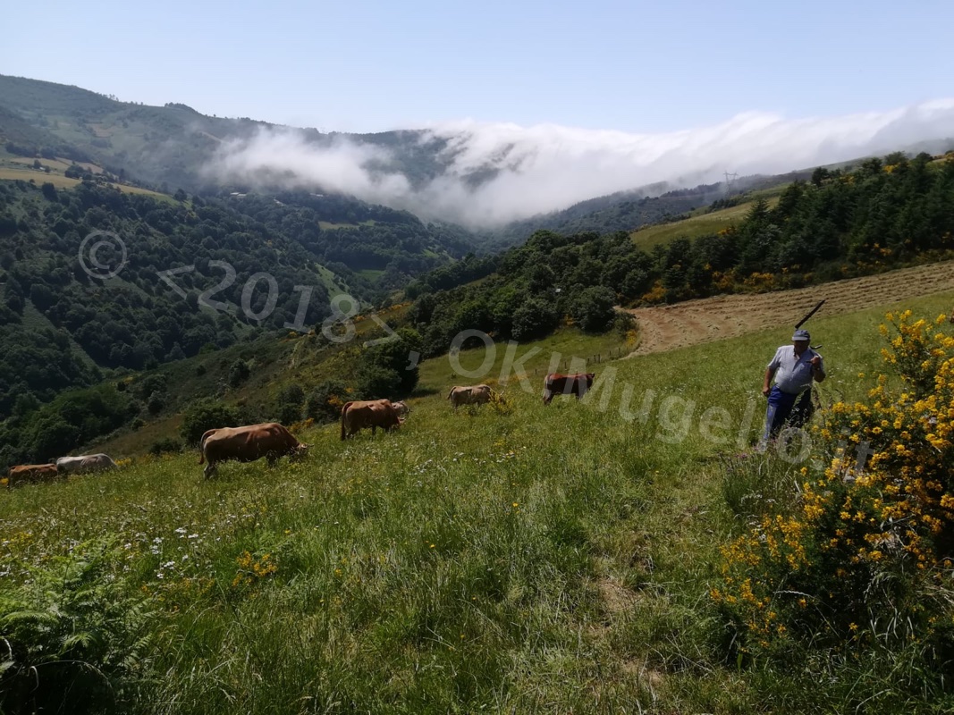 Verso Santiago: L'Alto di O Cebreiro e la bellezza della Galizia