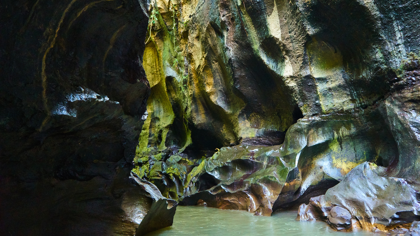 Un viaggio immersi nella Natura di Bali