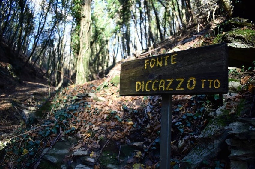 Fonte del Cazzotto