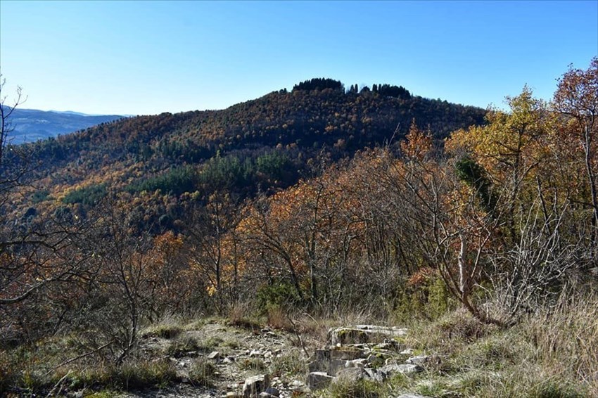 Panorama con la collina dove si trovava il Castello di Monteloro