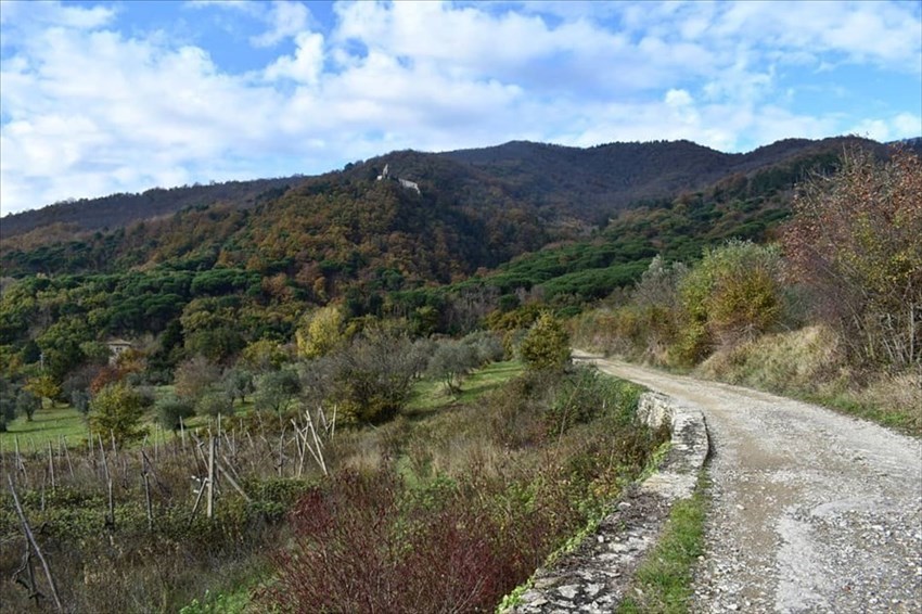 La via che porta "ai Sasso"