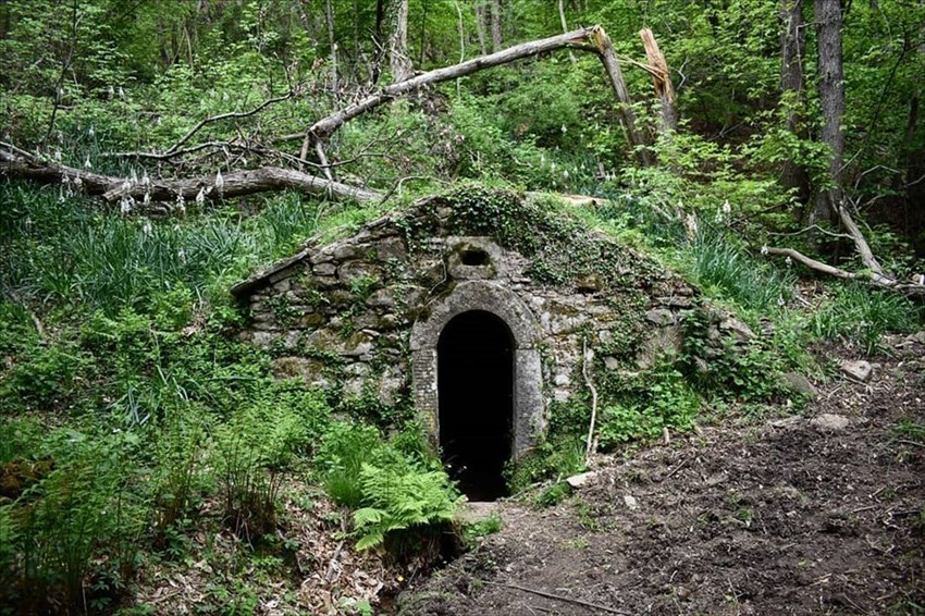 Burraia di Fonterinalda circondata dagli asfodeli