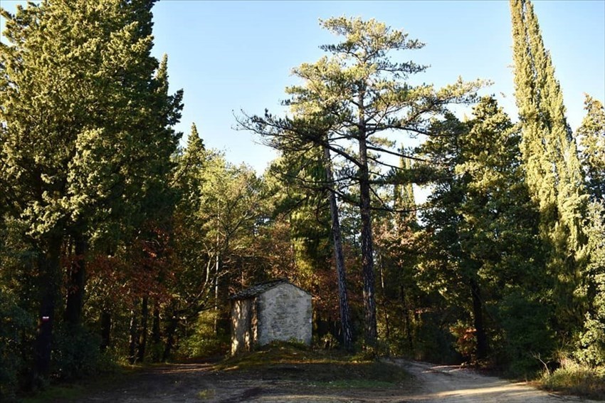 Tabernacolo del Bardellone