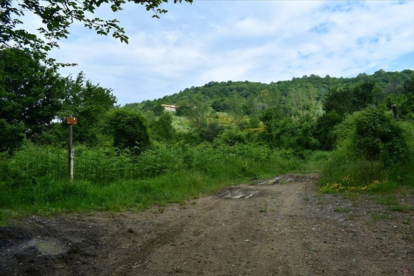 Strada sotto Casa al Cerro