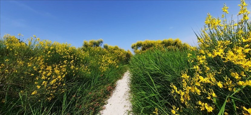 A piedi da Marradi a Brisighella. Elogio della lentezza nei giorni della MotoGp. Fotoservizio del giorno